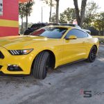 SDP 2015 Mustang