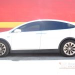 Model X Tint
